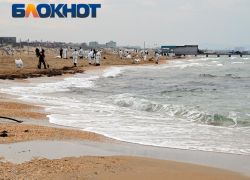 Число волонтеров на пляжах Кубани сократят за счёт промышленных способов очистки песка