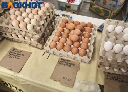 Цены на овощи и яйца резко обвалились в Краснодаре