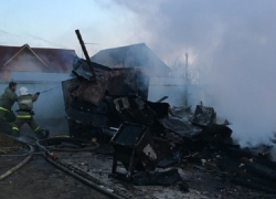 В Краснодаре при пожаре сгорели 30 кошек, 80 собак остались без еды и медикаментов