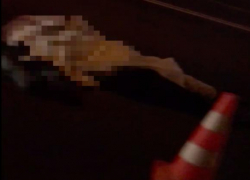 В Краснодаре насмерть сбили женщину