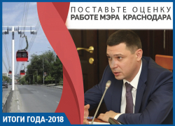 Канатная инновация и Зиповская импровизация: чем занималась мэрия Краснодара в 2018 году 