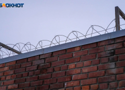 Жителя Краснодарского края отправили на 14 лет в колонию за распространение детского порно