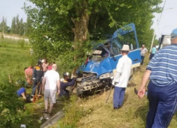 В Краснодарском крае автобус врезался в дерево: 4 погибших и 15 раненых