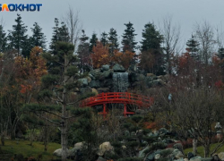 Всего до +3 градусов прогреется воздух в Краснодаре сегодня 