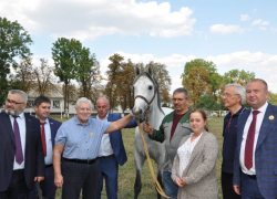 Лидер "СПРАВЕДЛИВОЙ РОССИИ – ЗА ПРАВДУ" Сергей Миронов посетил конный завод «Восход» и выставку сельхозпроизводителей на Кубани