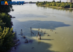 Бастрыкин поручил завести уголовное дело о загрязнении реки в Краснодаре