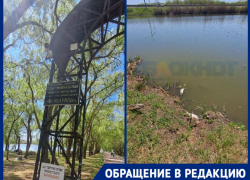 «Спасите озеро»: туристы бьют тревогу из-за мора рыбы у монастыря на Кубани