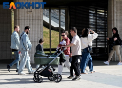 Гражданство детей, рассрочка и ГОСТ для выгула собак: что изменится в жизни краснодарцев в апреле