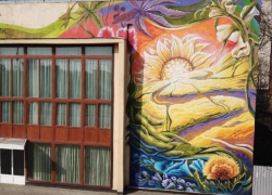 Сельскохозяйственное граффити появилось в Краснодаре