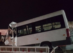 "От хомяков одни беды": на Кубани маршрутка врезалась в зерновоз