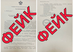 В Краснодарском крае опровергли слухи о карантине по бешенству на побережье