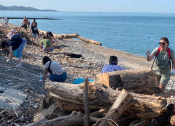 В Сочи горожане вышли на уборку пляжей после стихии