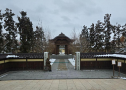 Гостей Японского сада в Краснодаре отпугнули снег и холод 