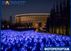 Новогодняя сказка: в Краснодаре показали преобразившийся ночной парк Галицкого