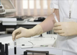 Птичьего гриппа на Кубани не обнаружили 