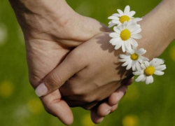 Как и где в Краснодаре отметить День семьи, любви и верности 