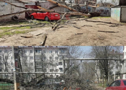 В Краснодаре сильный ветер повалил деревья на припаркованные автомобили