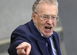 Жириновский хочет «своего человека» на пост мэра Сочи