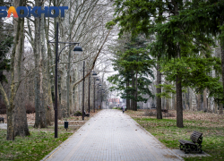 В Краснодаре временно закрыли дендрарий 