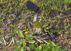 Под Майкопом нашли свалку медицинских пробирок с непонятным содержимым