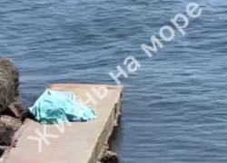 Загадочная гибель туриста во время погружения с аквалангом на Кубани встревожила Бастрыкина