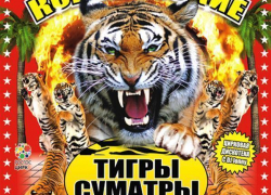 Внимание! Розыгрыш пригласительных на цирковую премьеру!