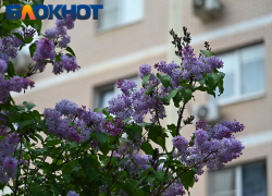 Погода сойдет с ума на майские праздники: что ждет краснодарцев?