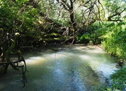 На Кубани создали новую особо охраняемую природную территорию