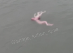 В Чёрном море насмерть замёрз ребёнок