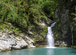 Кремль не собирается вмешиваться в ситуацию с национальным парком Сочи