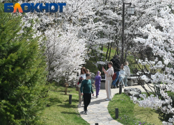 От +9 ночью до +20 днем: резкие перепады температуры накроют Краснодар в начале апреля  