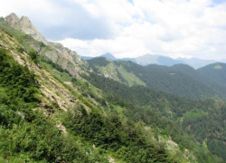  Ночью в Сочи потерялись туристы 