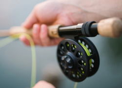 В Новороссийске рыбак чуть не зарезал друга