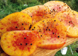 Еллоустоун – «мясной» на глаз, сладкий на вкус