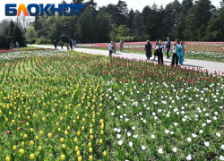 Временно закроют Ботанический сад в Краснодаре 