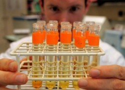 В Краснодаре и Сочи ищут тестировщика мочи