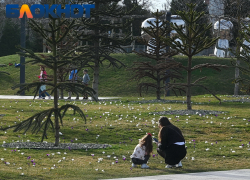 Дожди или солнце: что подкинет погода краснодарцам в конце февраля?