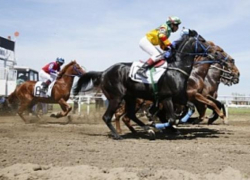 В Краснодаре разыграли «Большой краснодарский приз Дерби»