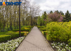 Утренний дайджест: воздух в Краснодаре прогреется до +16, а работники скорой принимают поздравления  