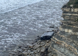 Морская прогулка на катамаране закончилась смертью и уголовным делом на Кубани