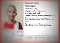 В Краснодарском крае нашли пропавшего после прогулки мальчика