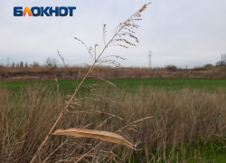 Губернатор отдал 10 га сельхозземель в Краснодаре под утилизацию мусора