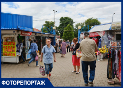 В Краснодаре подорожали даже местные продукты: прогулка по Сенному рынку