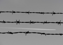 В Краснодаре мужчина убил знакомого и спрятал труп в подвале заброшенного дома