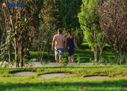 "Скоро осень, за окнами август": какие нововведения ждут жителей Кубани и всей России в последнем месяце лета 