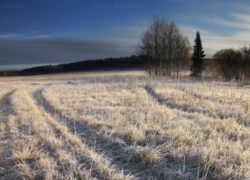 Из-за опасных заморозков в Краснодарском крае объявили штормовое предупреждение 