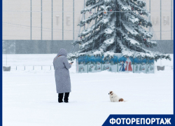 Засыпанные улицы, транспортный коллапс и недовольные южане: Краснодар «утонул» в снегу