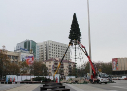 В Краснодаре начали установку главной городской елки 