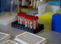 Восьмимесячный ребенок заразился коронавирусом на Кубани 