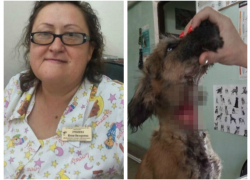 Жители Кубани обвинили медсестру в жестоком обращении с щенком